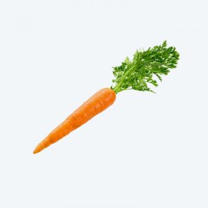 Carrot